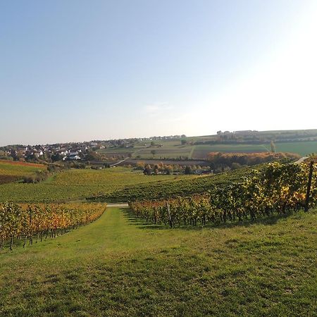 Weingut Seck Hotel Dolgesheim Exterior photo