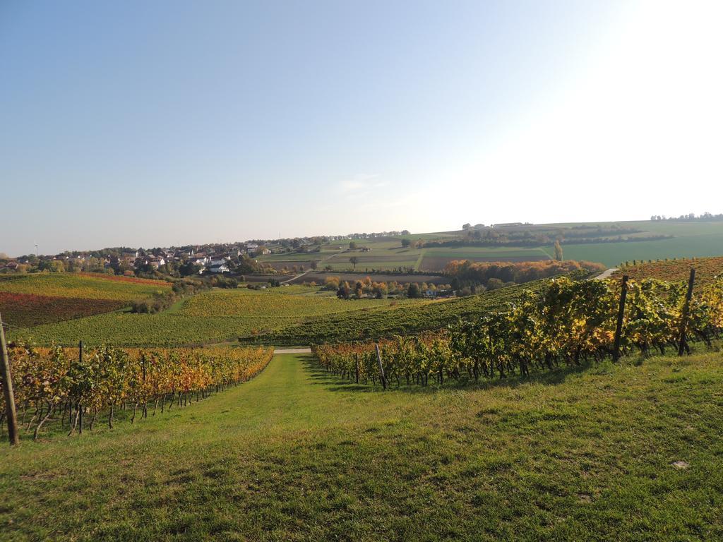 Weingut Seck Hotel Dolgesheim Exterior photo