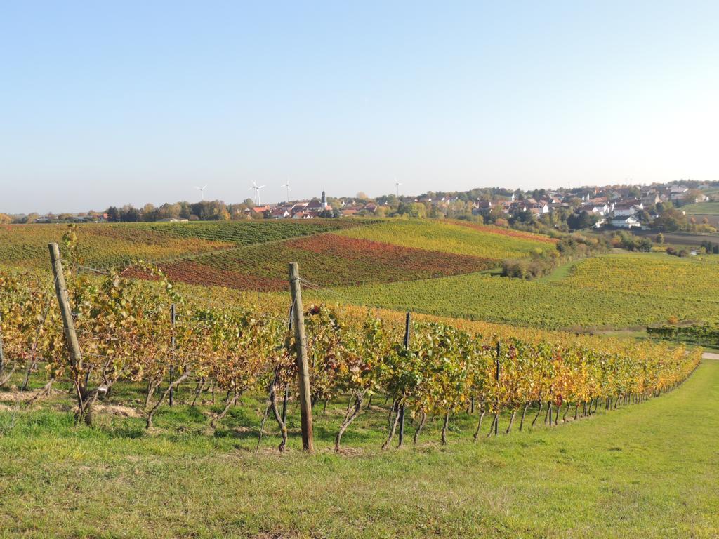 Weingut Seck Hotel Dolgesheim Exterior photo